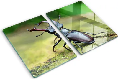 Imagen del producto de Cubierta para placa de cocina – Cubierta para placa de inducción – Placa de protección de vidrio – 2x40x52 cm – Placas de protección de vidrio para cocina – Vidrio templado – Insecto