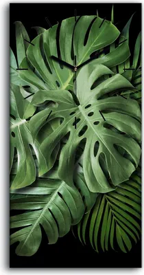 Produktbild von Leinwand Uhr Küche Wohnzimmer Bild 30x60 Gemälde Blätter Monstera Pflanze - schwarze Hände