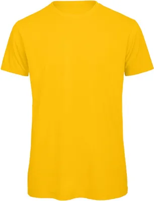 Obrázek produktu pro Tričko Inspire T /men
