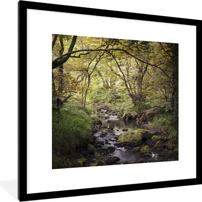 Produktbild von MuchoWow® Gerahmtes Poster Hirsch - Baum - Wald 40x40 cm - Poster mit Schwarzem Bilderrahmen Wandposter Rahmen Foto Bilder - Poster - Plakat im Rahmen