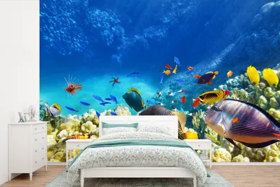 Produktbild von MuchoWow® Fototapete für Wohnzimmer oder Schlafzimmer Wandtapete Vinyl Motivtapete Meer - Fische - Korallen - Unterwasserwelt - 360x240 cm - Vinyl-Tapete