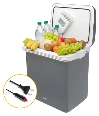 Immagine prodotto di TZS First Austria Box refrigerante elettrico con maniglia per il trasporto | 32 litri | Per auto, campeggio, vacanze | Grigio *B-Goods*