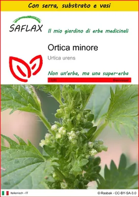 Immagine prodotto di SAFLAX Insieme di coltivazione - Ortica minore - 150 semi - Urtica