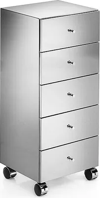 Produktbild von Lineabeta Schrank auf Rollen mit Edelstahlverkleidung 5 Schubladen chrom glänzend, 5430.29.29