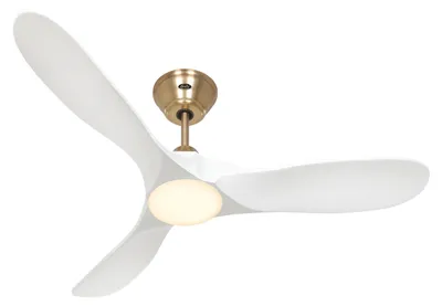 Obrázek produktu pro Stropní ventilátor CasaFan 312278 ECO GENUINO-L se světlem 122cm matná bílá