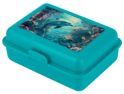 Produktbild von Baagl Brotdose Kinder Schule Lunchbox Mädchen Jungen Brotbox - Delphin