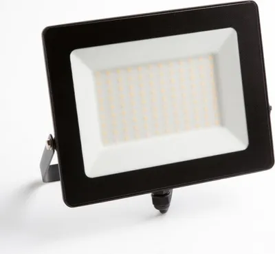 Immagine prodotto di Proiettore LED 100W 6500K 9000lm IP65 Ecolight EC79867