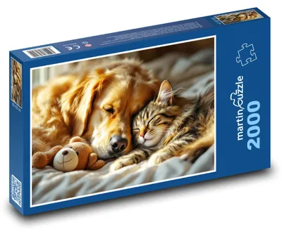 Obrázek produktu pro martinpuzzle - Puzzle 2000 - Kočka a pes spí s plyšákem