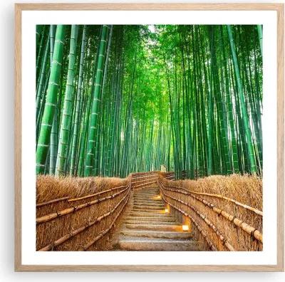 Produktbild von Gerahmtes Poster - Rahmen in heller Eiche - Bambus Pflanze - 60x60 cm - Wand Bild - Wanddeko - Wandbilder - Kunstposter - Wandposter - Bilderrahmen - Bilder - Kunstdruck - Wandbild - P2NAC60x60-3979