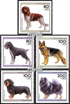 Produktbild von Briefmarken BRD (BR.Deutschland) 1995 Mi 1797-1801 (kompl.Ausg.) FDC Jugend: Hunderassen
