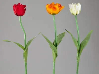 Zdjęcie produktu dla Tulpe 64cm farblich sortiert 470824
