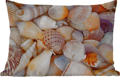 Produktbild von MuchoWow® Outdoor Kissen - Muscheln - Strand - Sommer - Orange - 60x40 cm - Wetterfest - Lounge Kissen - Zierkissen - Kissen für Innenräume
