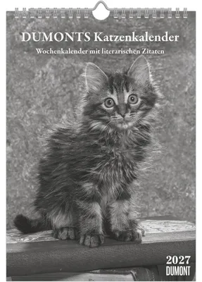 Image de Calendrier félin Dumonts 2027 : Agenda hebdomadaire au format 21x29,7 cm, avec 53 illustrations de chats et des citations littéraires
