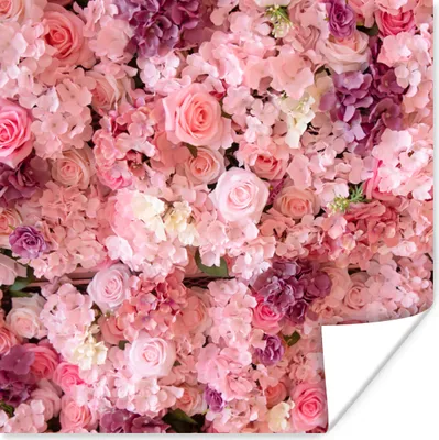 Produktbild von MuchoWow® Poster Blumen - Rosa - Rosen 100x100 cm - Babyzimmer