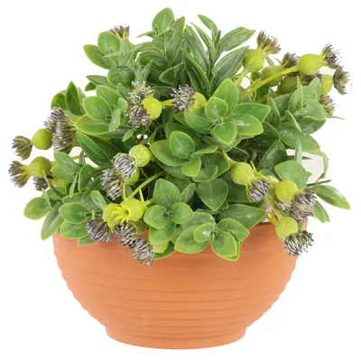Produktbild von Pflanzschale Runder Pflanztopf 0,6 L Terrakotta Ø 15 cm Kunststoff, für Blumenarrangements, Höhe 7,7 cm