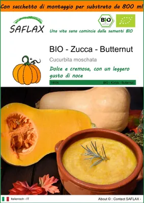 Immagine prodotto di SAFLAX Garden in the bag -- Zucca - Butternut - 6 semi - Cucurbita