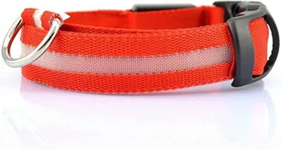 Produktbild von CHPN - LED-Halsband - Hundehalsband - Halsband - Rot - M - Mittel - Wiederaufladbares Halsband - Halsband - Sichtbar im Dunkeln - Sicheres Gehen mit dem Hund - (40-48 cm