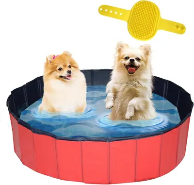 Produktbild von Hundepool faltbar, 120x120x30 cm, PVC, rutschfest, für Garten und Terrasse