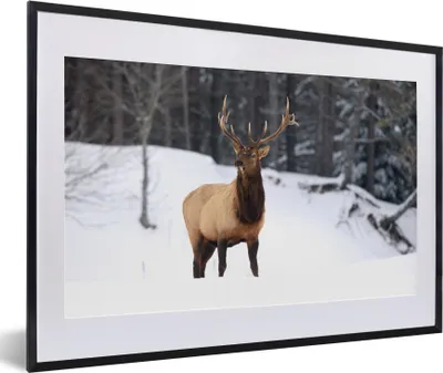 Produktbild von MuchoWow® MuchoWow® Gerahmtes Poster Rotwild - Schnee - Winter 60x40 cm - Poster mit zchwarzem Bilderrahmen - Schlafzimmer - Plakat in Rahmen - Drucken
