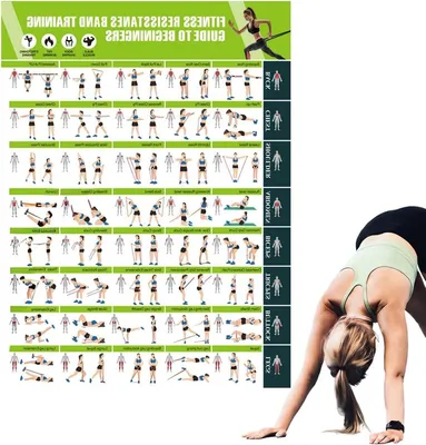 Sonstiges Fitnessgerät, Hauptbild