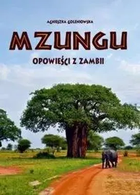 Image de Mzungu. Récits de Zambie - AGNIESZKA GOLENIOWSKA