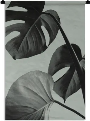 Produktbild von MuchoWow® Wandteppich Wandbehang Monstera - Blätter - Grün - Stilleben 120x180 cm Tapisserie Dekoration Wandtuch - Schlafzimmer - Dekorationen für das Haus