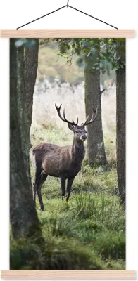 Produktbild von MuchoWow® Textilposter Hirsche - Bäume - Gras 60x120 cm mit holzfarbenen Rahmen - Holz