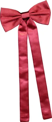 Produktbild von Stars & Stripes Western Cowboy Old Style Schleifenkrawatte schwarz Westernschleife Tie Krawatte Fliege Westernfliege Schleife Westerntie rot T-02 red