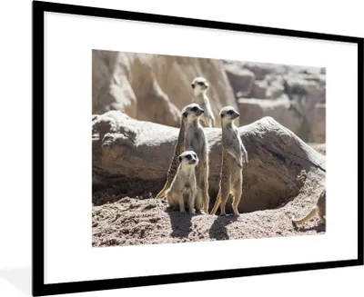 Produktbild von MuchoWow® Gerahmtes Poster Familie - Erdmännchen - Tiere 90x60 cm - Poster mit Schwarzem Bilderrahmen Wandposter Rahmen Foto Bilder - Wanddekoration - Fotos