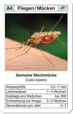 Productafbeelding van ONGEDIEREN-SET – 32 speelkaarten met afbeeldingen van ongedierte, Duitse editie