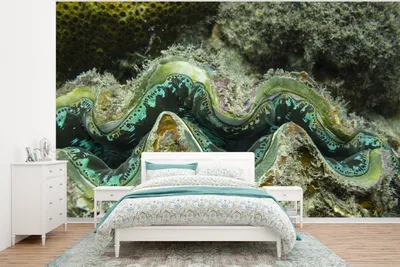 Produktbild von MuchoWow® Fototapete für Wohnzimmer oder Schlafzimmer Wandtapete Vinyl Motivtapete Nahaufnahme einer farbenfrohen Taufbeckenmuschel vor den Whitsunday Islands - 350x260 cm - Wohnzimmer-Tapete