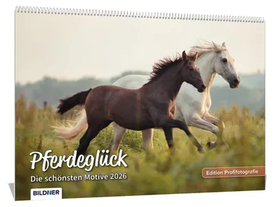 Productafbeelding van Wandkalender 2026 - Paardenmotieven - A3