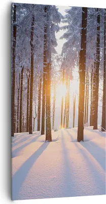 Produktbild von Bild auf Leinwand - Leinwandbild - Wald Winter Schnee - 65x120cm - Wand Bild - Wanddeko - Leinwanddruck - Bilder - Kunstdruck - Wanddekoration - Leinwand bilder - Wandkunst - PA65x120-3629