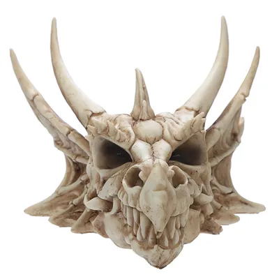 Produktbild von Drachenschädel Dekofigur aus Polyresin, 16,5 cm hoch, 22,5 cm breit, 25 cm tief