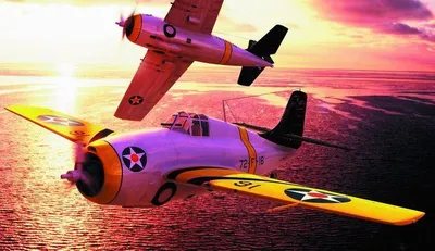 Produktbild von Hobby Boss F4F-3 early Wildcat 1:48, 80326