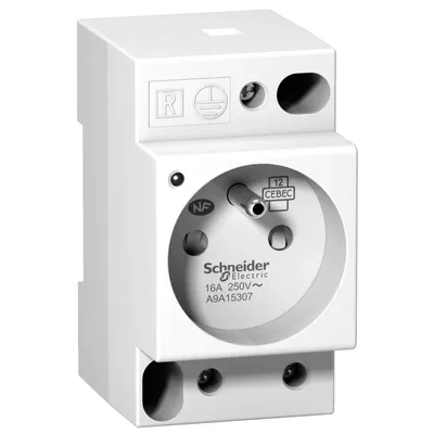 Image de Prise Schneider Electric A9A15307