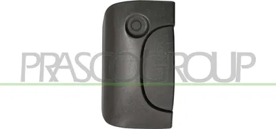 Produktbild von PRASCO DS9178301 Türgriff Hinten für NISSAN KUBISTAR (X76) Schwarz