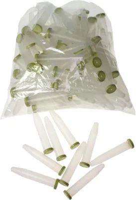 Produktbild von Orchideenröhrchen Wasserröhrchen Blumenröhrchen Reagenzglas m. Deckel Kunststoff, Größe:100St 24ml 22x110mm
