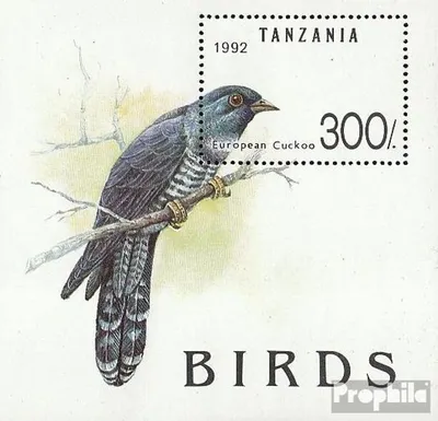 Produktbild von Briefmarken Tansania 1992 Mi Block190 (kompl.Ausg.) postfrisch Vögel