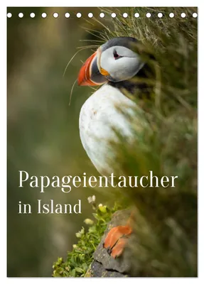 Produktbild von Papageientaucher in Island (Tischkalender 2027 DIN A5 hoch), CALVENDO Monatskalender