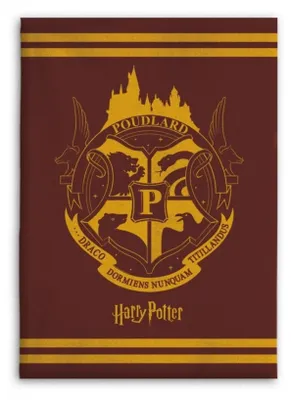 Productafbeelding van Harry Potter deken – woondeken van 130x160 cm, geschikt voor kinderkamers en meer