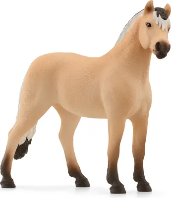 Obrázek produktu pro Horse Club Fjord kůň valach