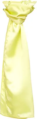 Produktbild von Damen Schal Satin Scarf - Farbe: Natural - Größe: 120 x 25cm