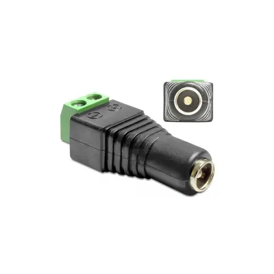 Image de Delock 65485 Adapter Delock Terminalblock 2Pin -> DC 2,5 x 5,5mm Buchse