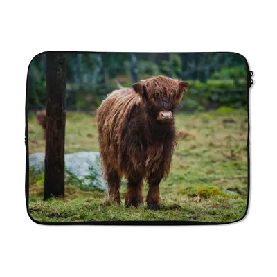 Produktbild von MuchoWow® Laptop Hülle 17 Zoll Laptoptasche Schottischer Hochländer - Wald - Moos - Zipper - Schutzabdeckung