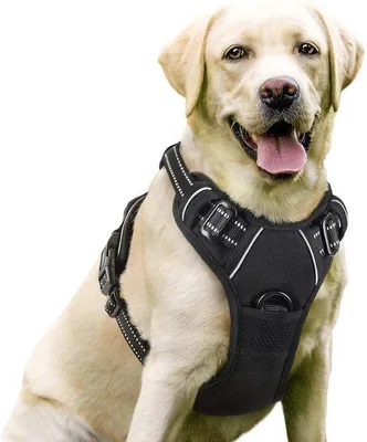 Produktbild von Famanu Hundegeschirr, atmungsaktiv und reflektierend - verstellbar und weich für große, mittelgroße und kleine Hunde sowie Welpen