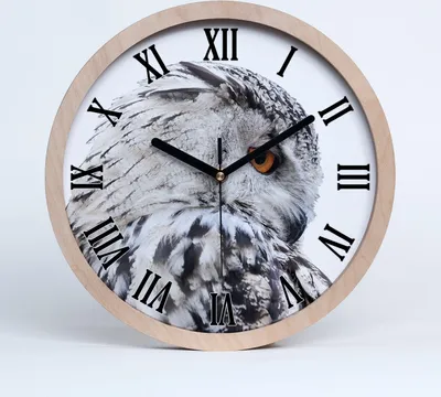 Produktbild von Holzuhr 25fi cm wanduhr - schwarze Spitzen - Weiße Eule