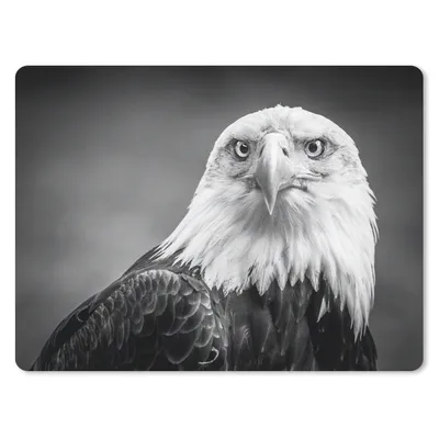 Produktbild von MuchoWow® Mauspad Mousepad Adler - Raubvogel - Schwarz - Weiß - Tiere 23x19 cm - Mousepads - Maus Mat - Pad - Mausunterlage - Schreibtischunterlage - Mauspad