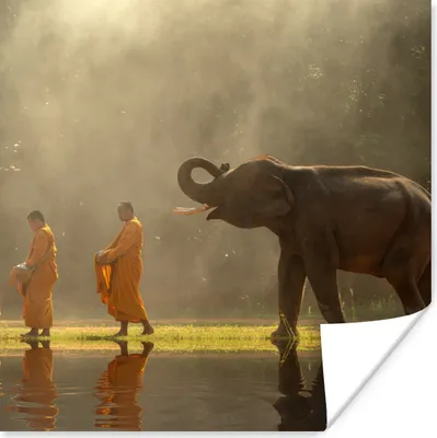 Produktbild von MuchoWow® Poster Elefant mit Mönchen 100x100 cm - Babyzimmer