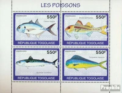 Produktbild von Briefmarken Togo 2010 Mi 3414-3417 Kleinbogen (kompl. Ausgabe) postfrisch Fische